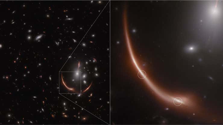 Image for Webb Spots Ancient Supernova in a Gravitational Lens