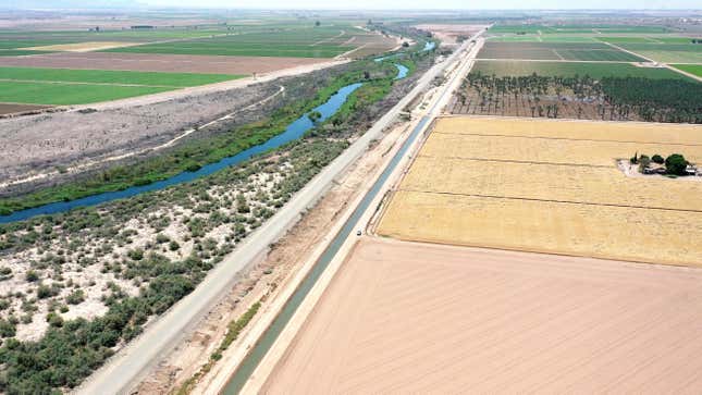 Image for article titled California Could Solve Its Water Woes by Flooding Its Best Farmland